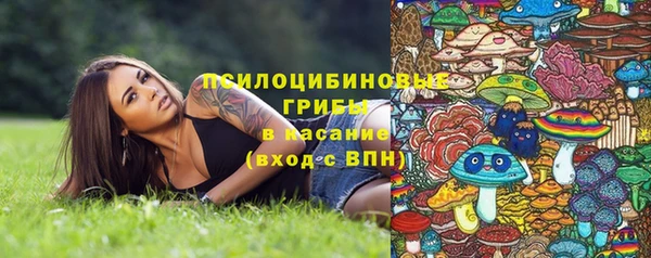 твердый Вязьма