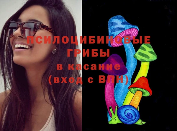 твердый Вязьма